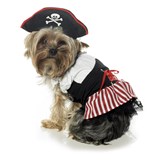 Pirate Puppy Pet Costume