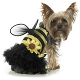 Daisy Bee Pet Costume