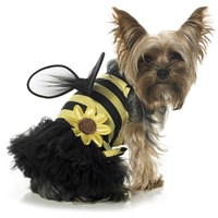 daisy dog  bee costume