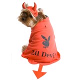 Playboy Lil Devil Pet Costume