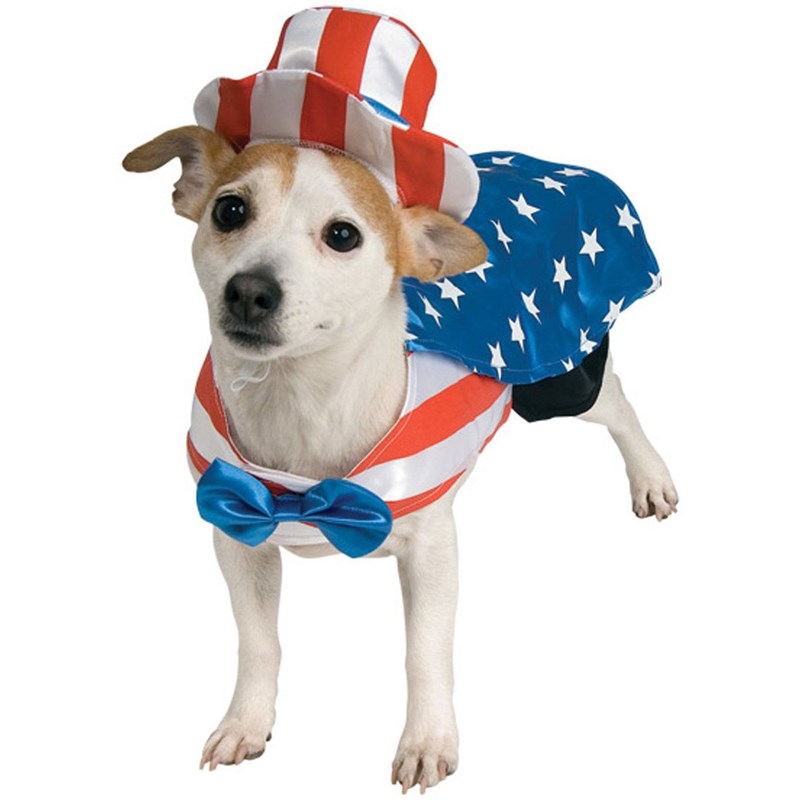 Uncle Sam Dog Costume for the 2022 Costume season.