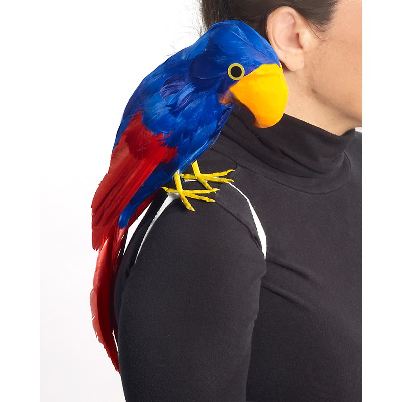 Parrot, Pirate for the 2022 Costume season.