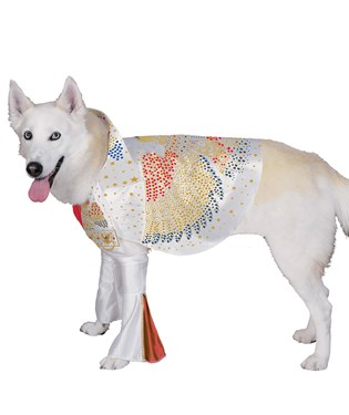 Elvis Dog Costume
