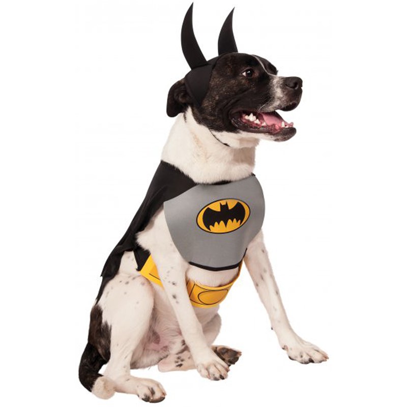 Batman Dog Costume for the 2022 Costume season.