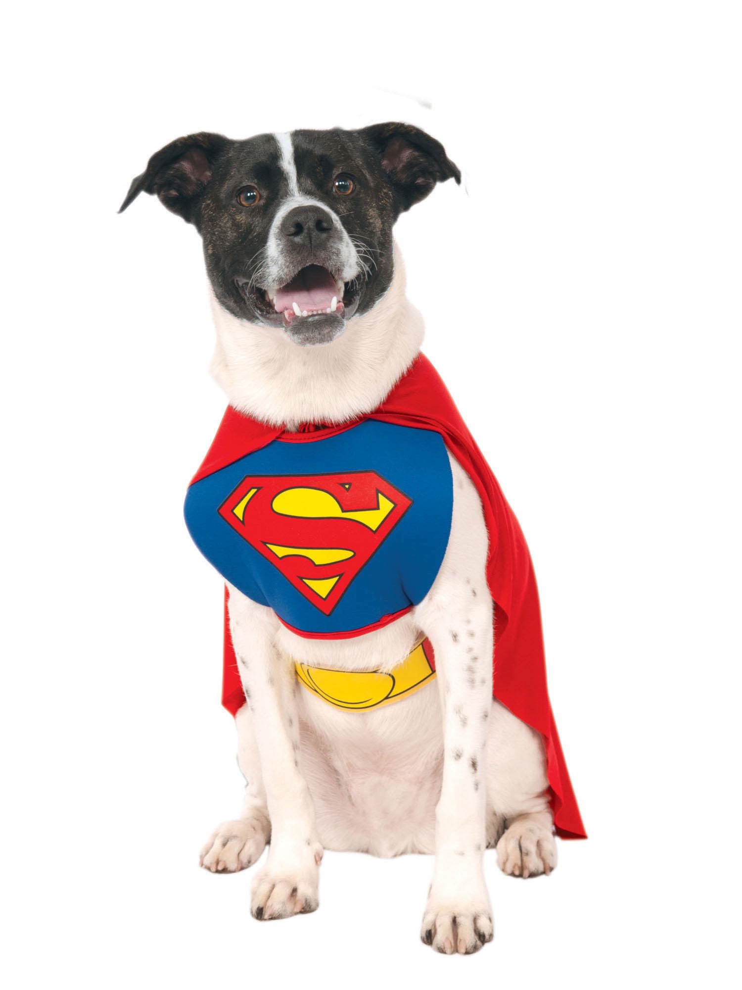 Superman Dog Costume