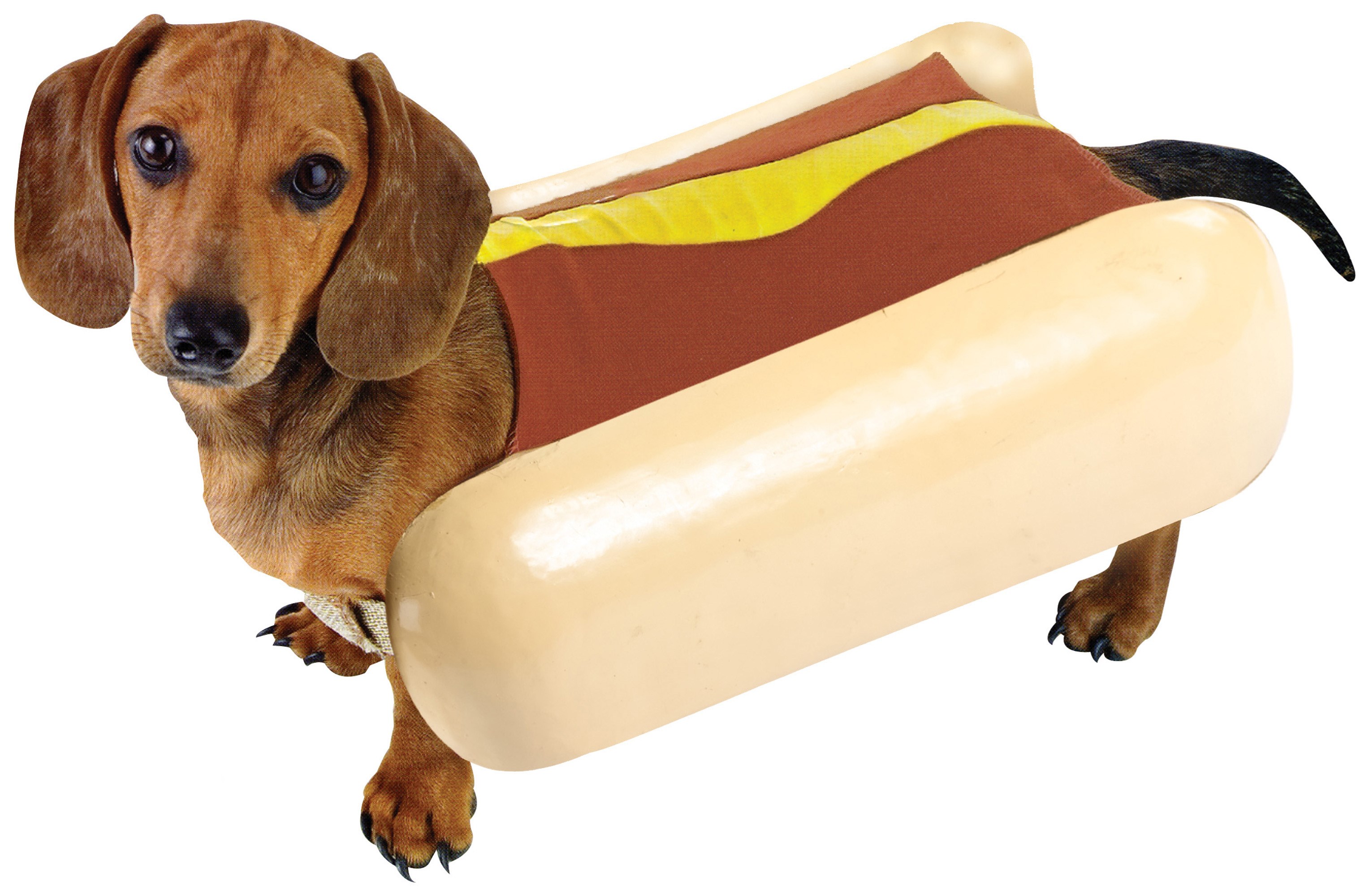 Hot Dog Pet Food Dog Costume