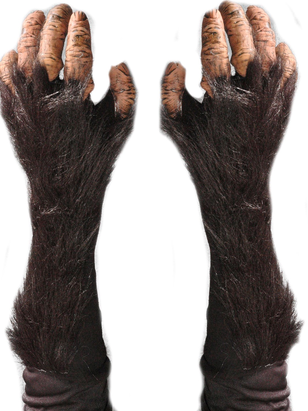 Adult Chimp Gloves