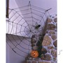 Spider Web, 9' Rope White