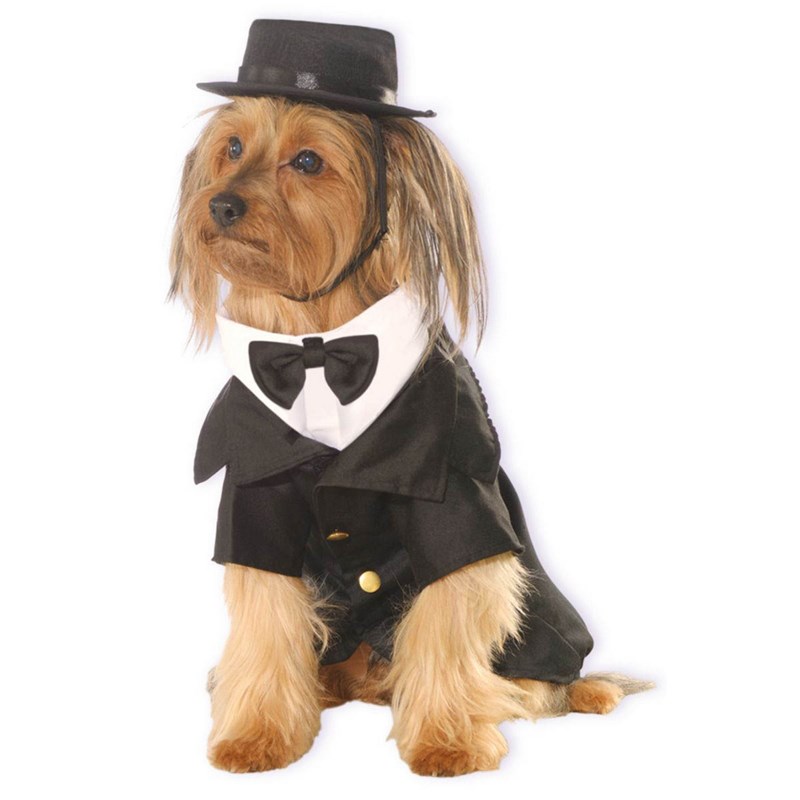 Dapper Dog Costume for the 2022 Costume season.