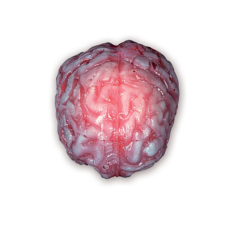 Color Changing Realistic Brain for the 2022 Costume season.