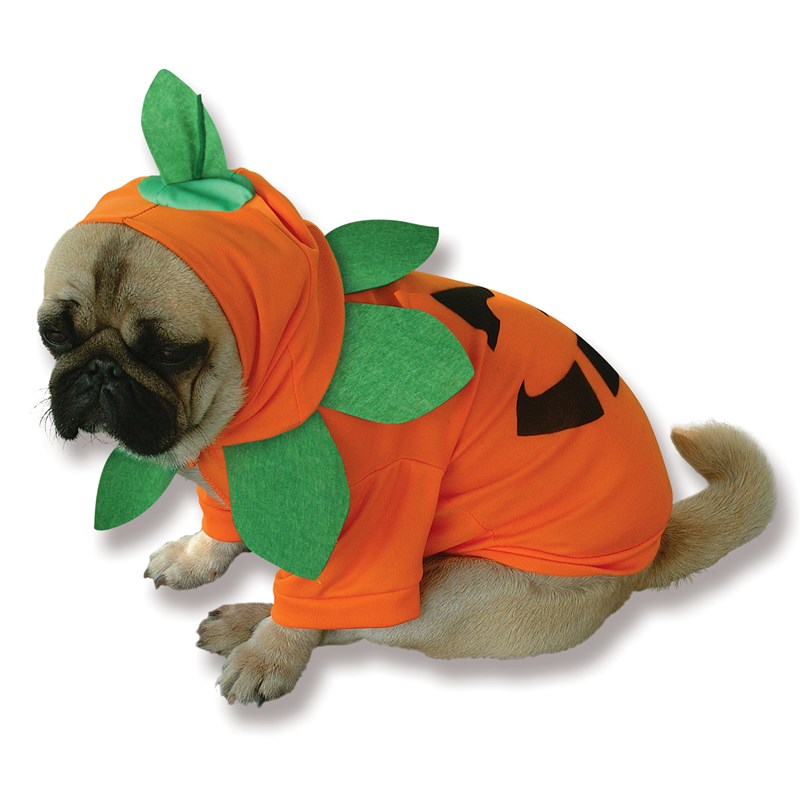 Pumpkin Pooch Dog Costume for the 2022 Costume season.