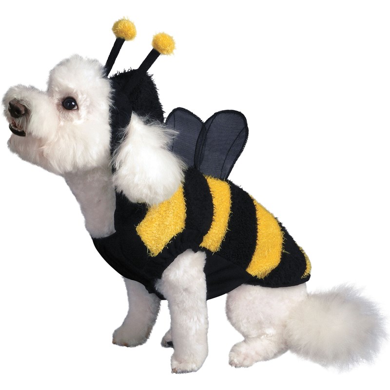 Buzzing Bee Dog Costume for the 2022 Costume season.