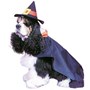 Pet Costume Witch
