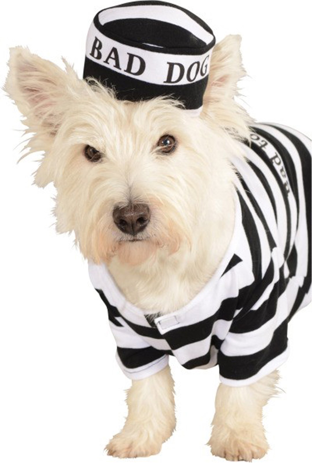 Prisoner Dog Pet Costume
