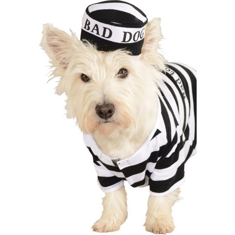 Prisoner Dog Pet Costume for the 2022 Costume season.