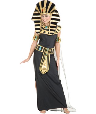 Queen Nefertiti Adult Costume