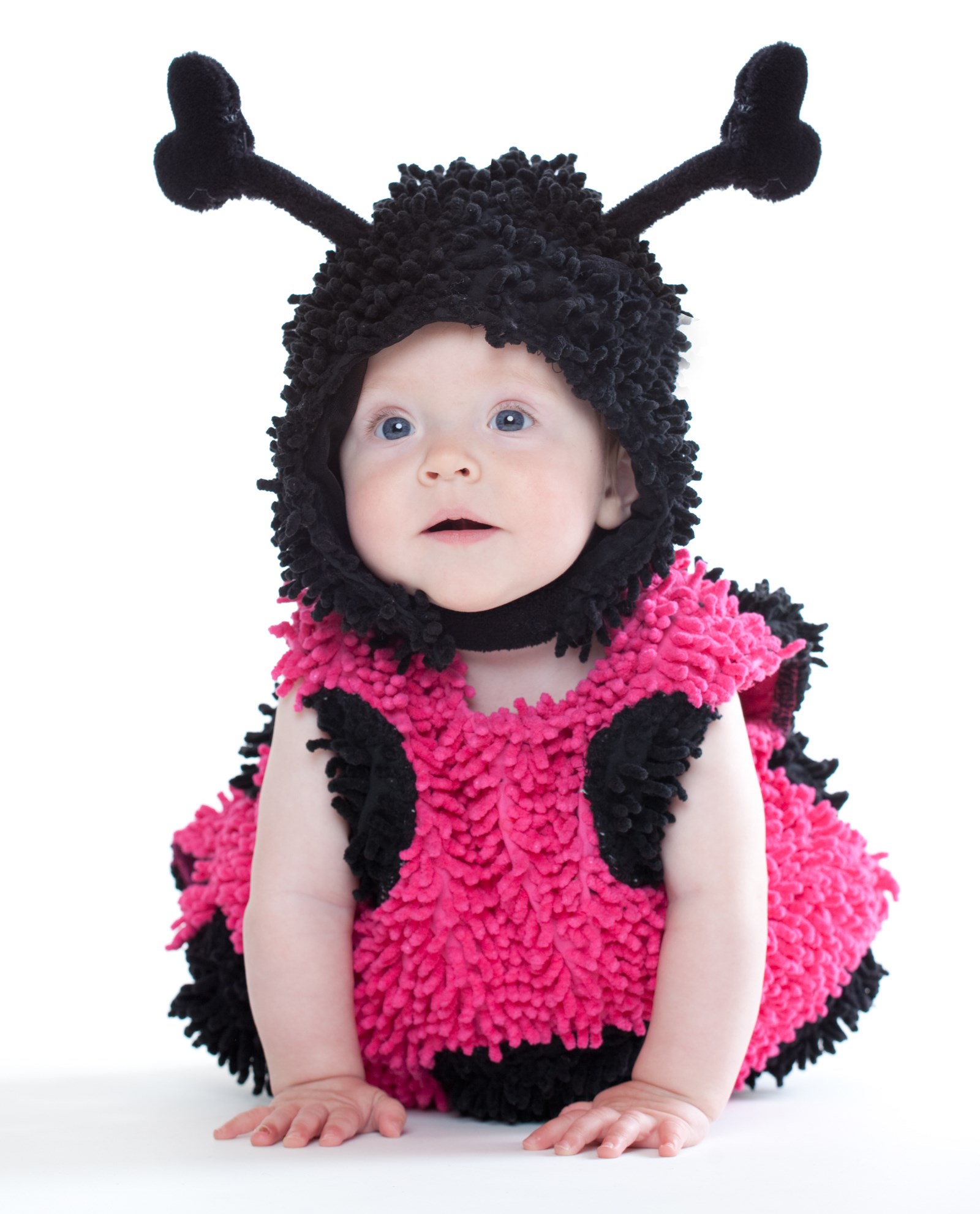 Default Image - Baby Lady Bug Infant / Toddler Costume