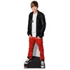 http://www.anrdoezrs.net/click-2271445-10390395?url=http://www.BuyCostumes.com/Justin-Bieber-Standup/71622/ProductDetail.aspx?REF=AFC-showcase&sid=2271445