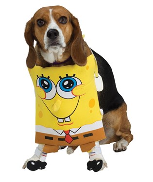 SpongeBob SquarePants - SpongeBob Pet Costume