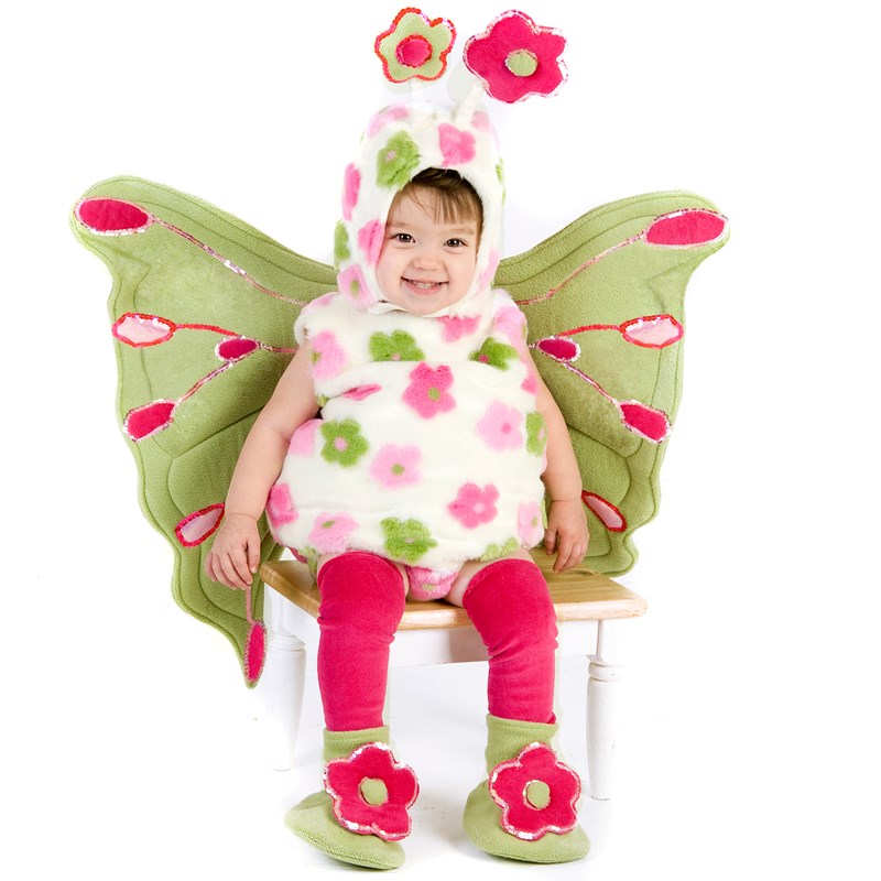 Butterfly Infant  and  Toddler Costume for the 2022 Costume season.