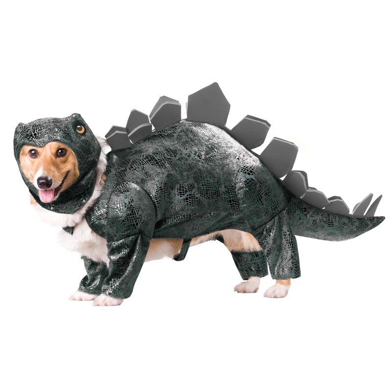 Stegosaurus Pet Costume for the 2022 Costume season.