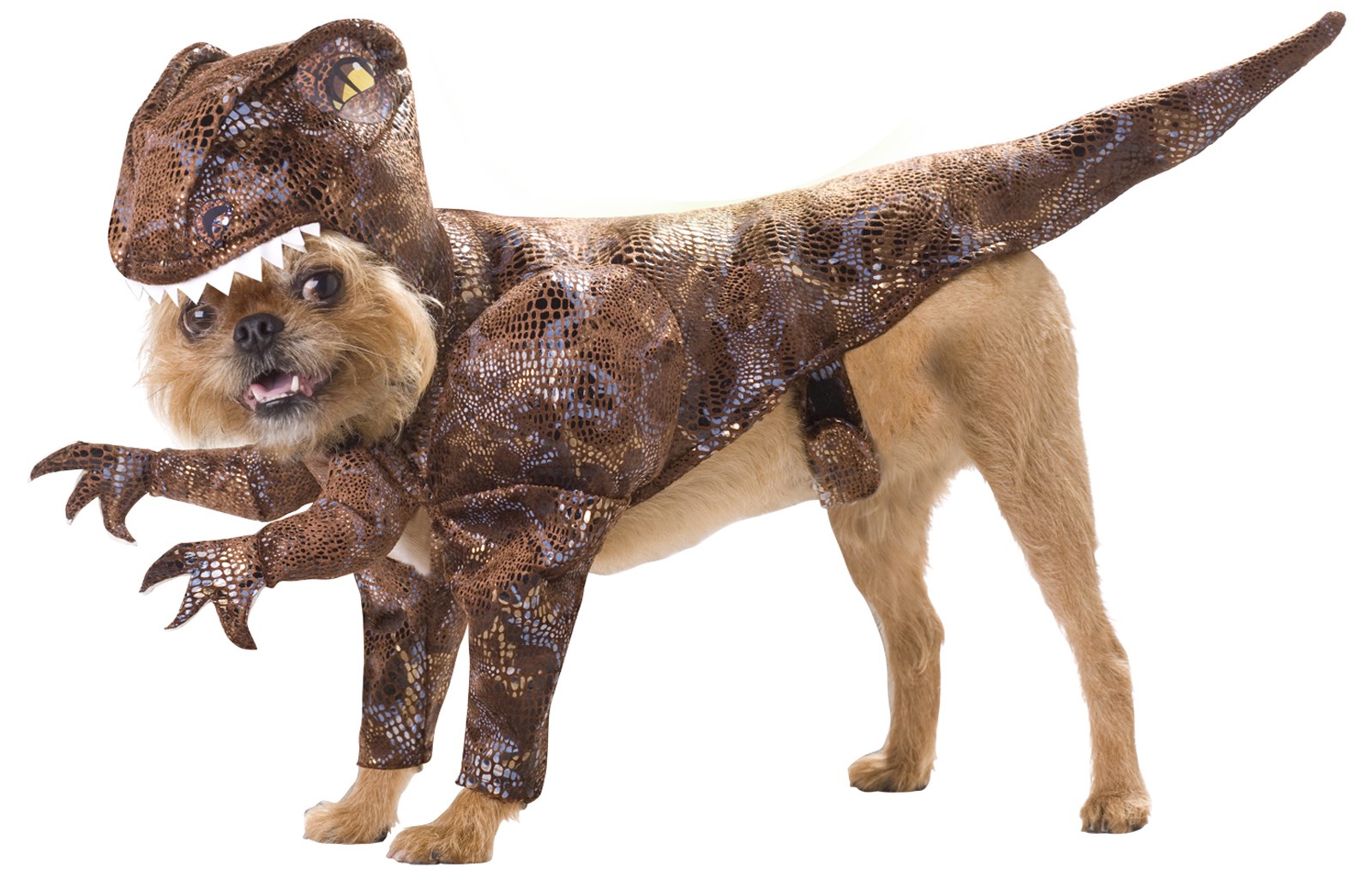 Dog Halloween Costume Ideas