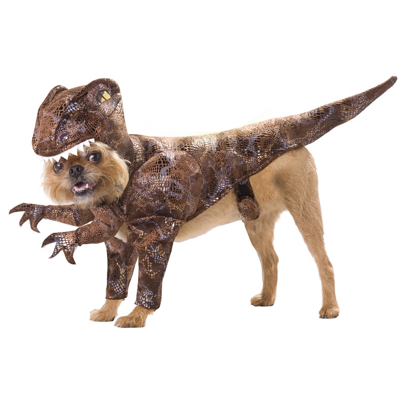 Animal Planet Raptor Pet Costume for the 2022 Costume season.