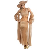 Lady Gaga Gold Adult Costume