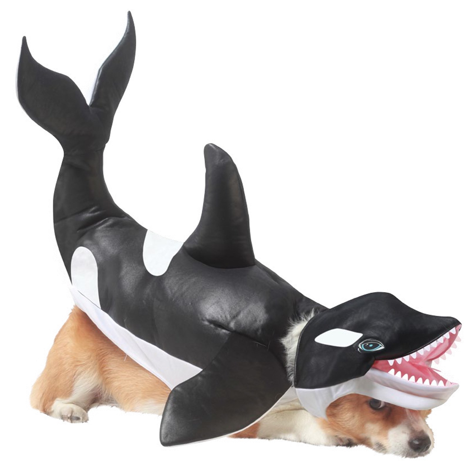Orca Pet Costume