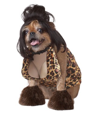 The Lady Is a Tramp Pet Costume