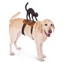 Cat Rider Dog Costume