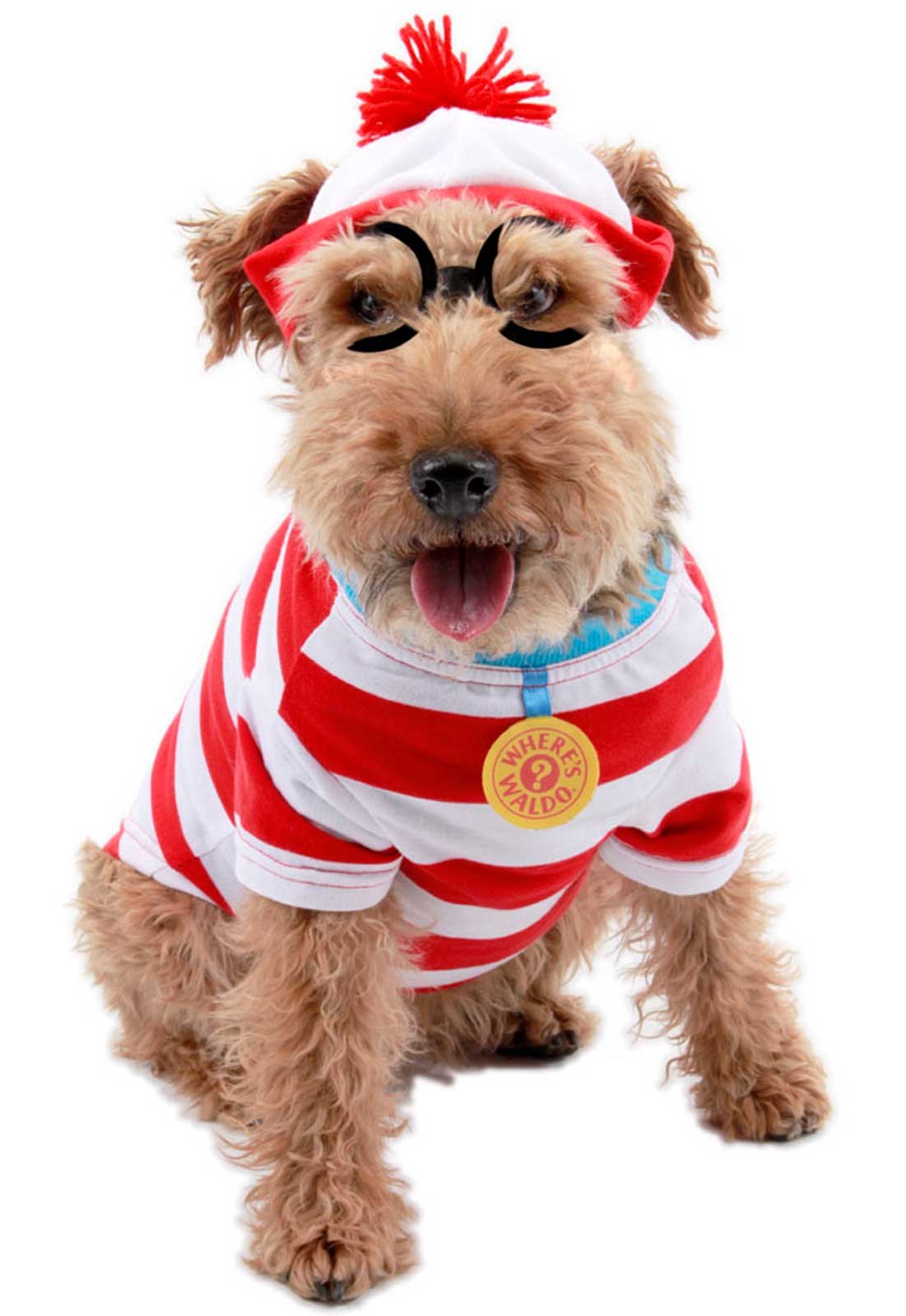 Wheres Waldo Woof Pet Costume