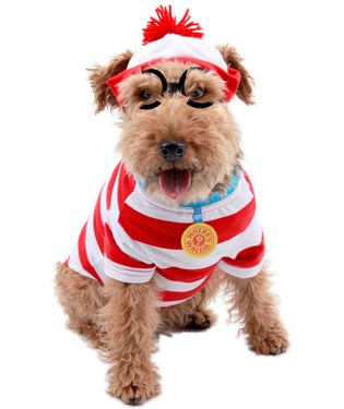 Wheres Waldo Woof Pet Costume