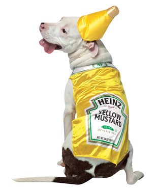 Heinz Mustard Pet Costume