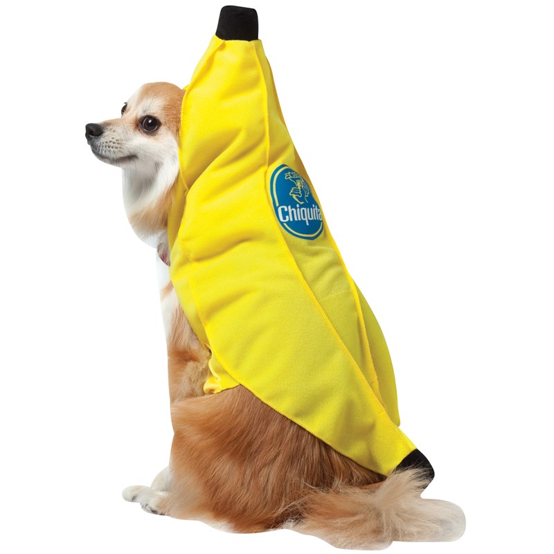 Chiquita Banana Pet Costume for the 2022 Costume season.