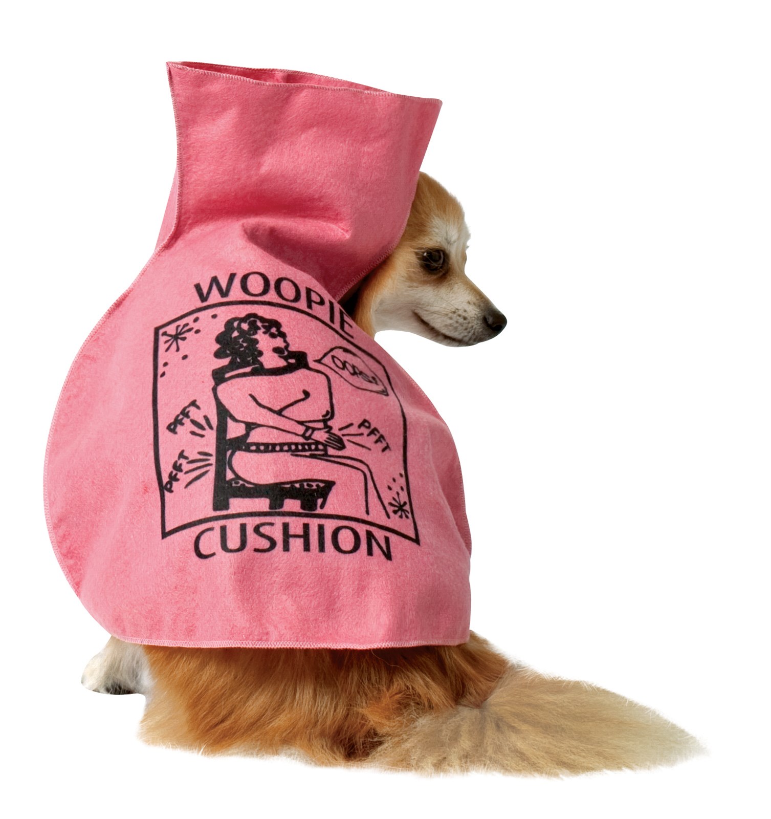 Whoopie Cushion Pet Costume