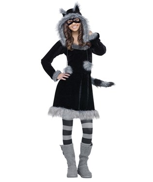 Sweet Raccoon Teen Costume