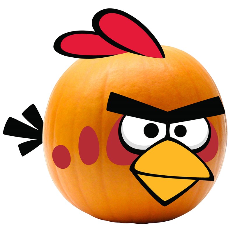 Rovio Angry Birds Red Bird Pumpkin Push Ins for the 2022 Costume season.