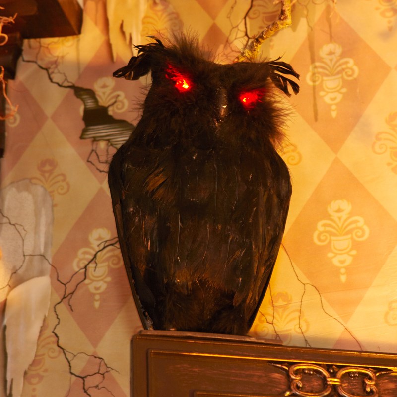 Light Up Black Owl for the 2022 Costume season.