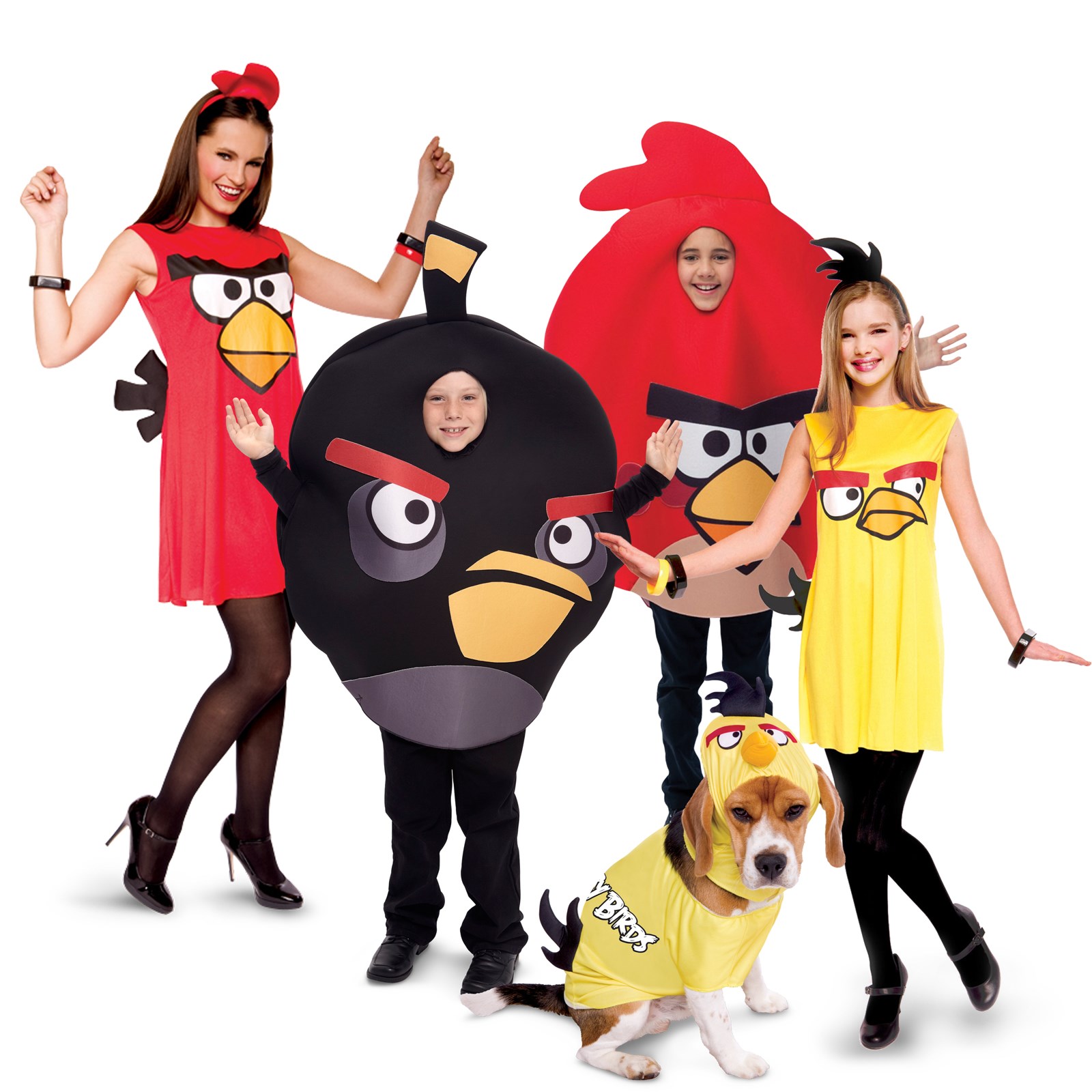 Angry Birds Group Costumes