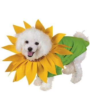 Sunflower Pet Costume