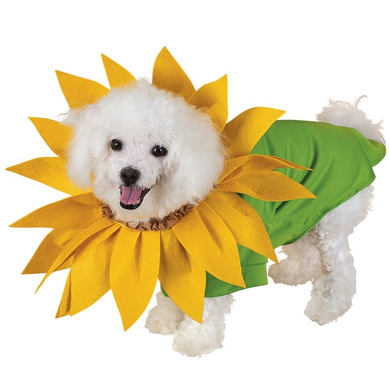 Sunflower Pet Costume for the 2022 Costume season.