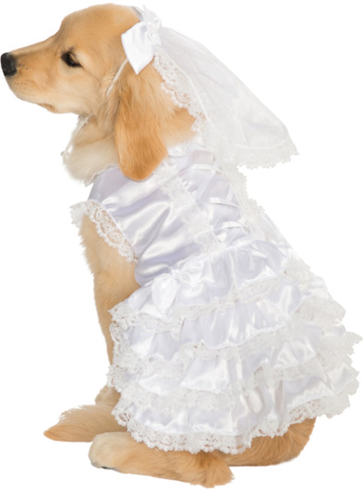 Bride Pet Costume