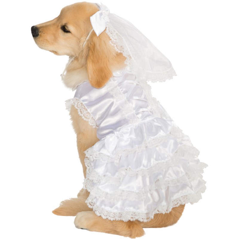 Bride Pet Costume for the 2022 Costume season.
