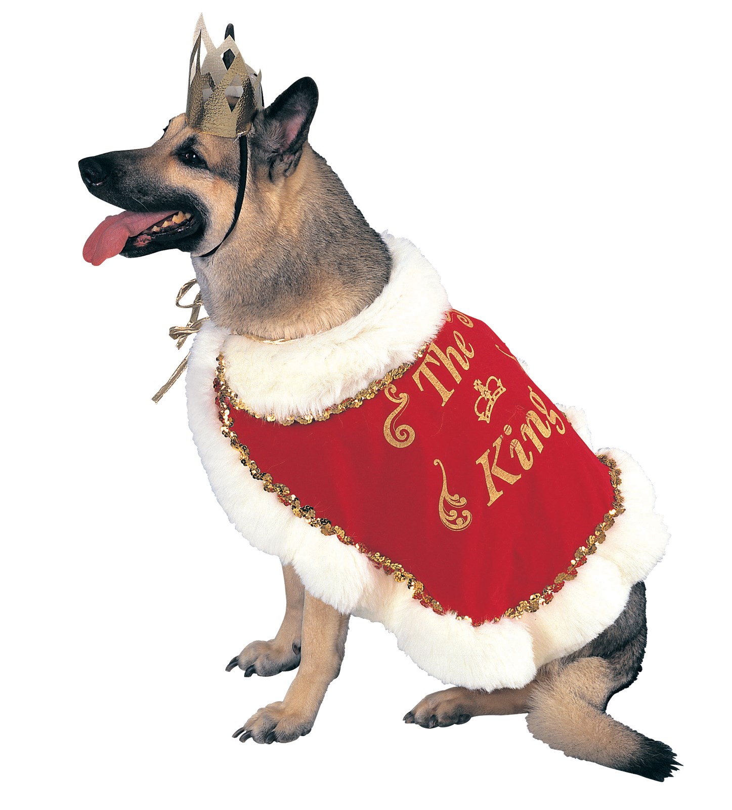 King Pet Costume for the 2022 Costume season.