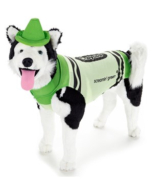 Crayola Green Crayon Pet Costume – Clearance Size Small