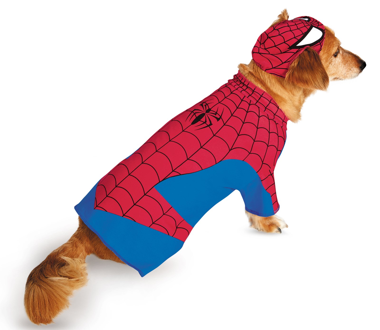 Pet Spider-Man Costume
