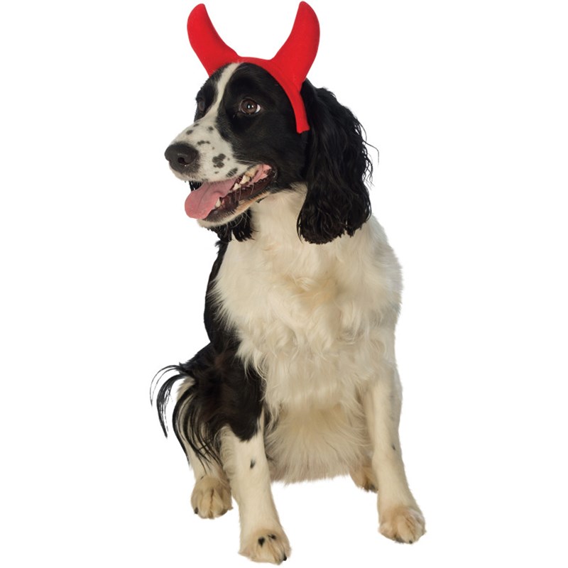 Devil Pet Horns for the 2022 Costume season.