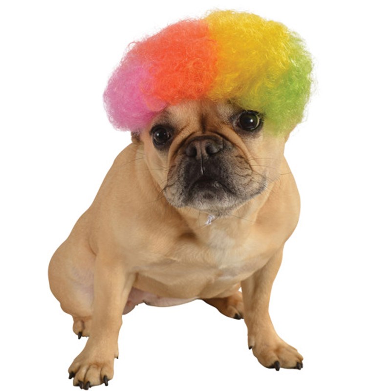 Rainbow Afro Pet Wig for the 2022 Costume season.