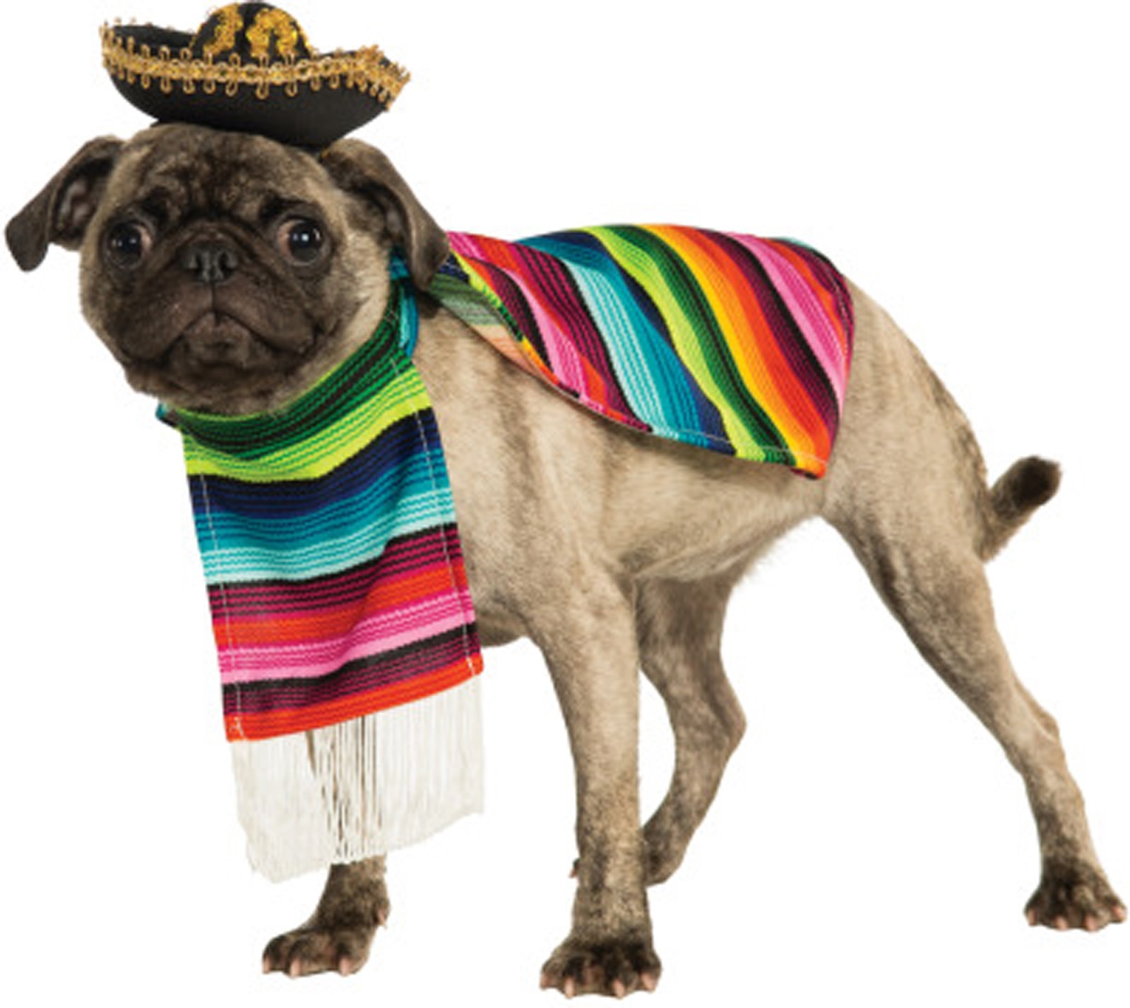 Poncho And Sombrero Mexican Dog Costume